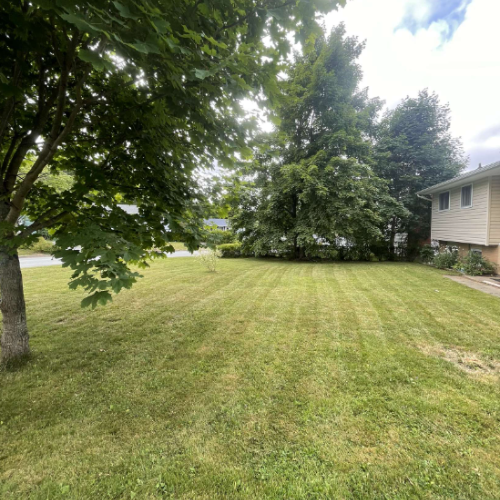 Untitled design (7) (1)